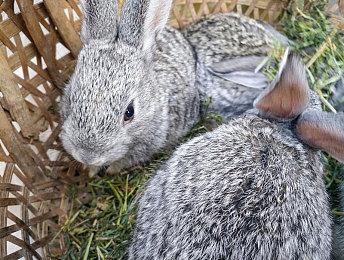 经营模拟游戏《购物中心装修工》今日上线steam 支持中文